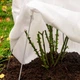Агроволокно Greentex R30 укрывное белое 1,6×10 м 30 г м2 для защиты растений - изображение 3