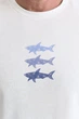 Біла футболка з акулами Paul&Shark 7252 L - зображення 6