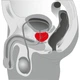 Массажер простаты NMC Ebony Prostate Massager (15610000000000000) - изображение 4