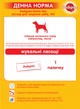 Упаковка Ласощі для собак Pedigree Denta Stix для чищення зубів 18 шт по 45 г (5998749106884) - зображення 7