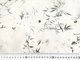 Ткань Органза жаккард акварель, хаки на кремовом, пог. м. (о29, 2410078A, д0300446P цв6) - изображение 4