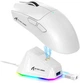 Беспроводная Мышь ATTACK SHARK X11 Белая 2.4G/Bluetooth/Провод, Сенсор PAW3311 22000 DPI - изображение 1