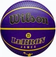Баскетбольний м'яч Wilson NBA PLAYER ICON OUTDOOR BSKT LEBRON NE (розмір 7) WZ4027601XB7, - зображення 2