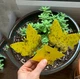Набір Липучка пастка від Комах для захисту рослин 24 шт - зображення 6