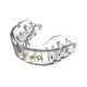 Капа OPRO Gold доросла (вік 11+) Clear (art.102504015) - изображение 2