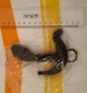Стимулятор простаты Pipedream Anal Fantasy Collection Beginners Prostate Stimulator (15577000000000000) - изображение 4