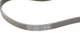 Ремінь генератора Skoda SuperB 01-08/VW Passat B5/Hyundai Accent 95-05/Tucson/Kia Sportage/Ceed 04- 4PK855 CONTINENTAL - изображение 3