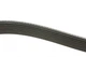 Ремінь генератора Mazda CX-7 2.2MZR-CD AWD 09-13 8PK1295 DAYCO - зображення 2