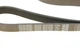 Ремінь генератора Nissan Almera 2.0 00-03/ Primera 2.0 16V 96-01 6PK1030 DAYCO - зображення 5