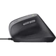 Мышь Trust Bayo II Ergonomic USB Black (25144) [117708] - изображение 5