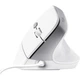 Мышь Trust Bayo II Ergonomic USB White (25397) [115601] - изображение 1