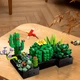 3D конструктор JIE-STAR 9011 набор строительных блоков Botanical Garden Succulent 590 деталей пластиковый - изображение 3