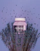Сахарный скраб с маслом ши и перлитом HOLLYSKIN Provence , 300 мл - изображение 2