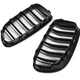 Решітки для радіатора Racing grills для BMW F10 F11 F18 2010-2016 5 Series M5 1010 - зображення 3
