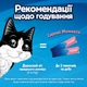 Упаковка лакомства для кошек Purina Felix Вкусные моменты с лососем 40 г x 11 шт (8445291632646) - изображение 10