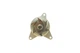 Помпа води Ford C-Max/Focus/Mondeo/Galaxy/Mazda 3/5/6/CX-7/Volvo 1.8/2.0/2.3 00- PA6015 BUGATTI - зображення 2