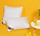 Подушка IDEIA AirDream Exclusive со съемным чехлом, средняя жесткость, со змейкой, 50х70, белая - изображение 1