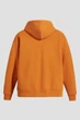 Худі утеплене оверсайз чоловіче Levi's skate hoodie A10080005 XS Гірчичний (5401128144198) - изображение 7