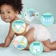 Подгузники Pampers Premium Care Размер 6 13-18 кг 128 шт (8700216423700) - изображение 5