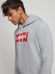Худі чоловіче Levi's Standard Graphic Hoodie Co Hm Two Color 38424-0000 2XL Сірий (5400898437844) - зображення 5