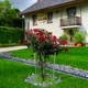 Металлическая кольцевая опора Pivonia D50*80 см для пионов, роз и других растений. Поддержка для растений - изображение 4