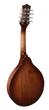 Мандоліна Richwood RMA-90-NT - изображение 2