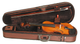 Скрипка STENTOR 1400/A 4/4 - изображение 1