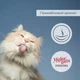 Упаковка беззерновых консервов для стерилизованных кошек Morando Migliorgatto Sterilized курица и индейка кусочки в соусе 85 г x 4 шт (8007520414748) - изображение 6