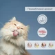 Упаковка беззернових консерв для стерилізованих котів Morando Migliorgatto Sterilized мус зі середземноморською рибою 85 г x 4 шт (8007520414625) - зображення 6