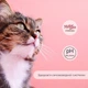 Сухой корм для стерилизованных кошек Migliorgatto Sterilized с говядиной 400 г (8007520014854) - изображение 3
