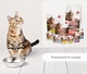 Сухой корм для стерилизованных кошек Migliorgatto Sterilized с говядиной 400 г (8007520014854) - изображение 5