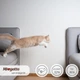 Монопротеїновий сухий корм для кішок Morando MioGatto Sensitive Monoprotein лосось 400 г (8007520086394) - зображення 4