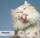 Сухой корм для стерилизованных кошек Morando Miogatto Sterilised со свежей курицей 10 кг (8007520086127) - изображение 3