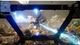 Ключ активации MechWarrior 5: Mercenaries для Xbox One/Series - изображение 4