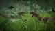 Ключ активации Jurassic World Evolution для Xbox One/Series - изображение 7