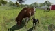 Ключ активации Professional Farmer: American Dream для Xbox One/Series - изображение 10