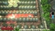 Ключ активации Of Tanks and Demons III для Xbox One/Series - изображение 5