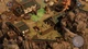 Ключ активації Shadow Tactics: Blades of the Shogun для Xbox One/Series - зображення 4