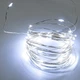 Гирлянда Altalusse INL-2103U-50 Cold 50 LED USB 5 м холодный белый - изображение 1