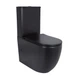 Унитаз напольный Qtap Robin Ultra Quiet безободковый с сиденьем Soft-Close MATT BLACK QT13226083AMB - изображение 1