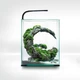 Аквариум Aquael Smart Day&Night для креветок черный 30 л - изображение 2