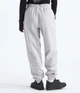Брюки женские The North Face Pants Core S Сірий NF0A890HGAV - изображение 2