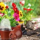 Горшочки (вазоны) для выращивания рассады 10 шт (коричневые) - изображение 8