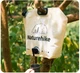 Складной контейнер для воды из полиэтилена Naturehike CNK2450CF027 10 л Желтый (6927595798355) - изображение 6