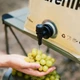 Складной контейнер для воды из полиэтилена Naturehike CNK2450CF027 10 л Голубой (6927595796696) - изображение 2