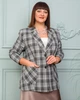 Піджак Alenka Plus 2013-1, 60, сірий, клітинка - изображение 3