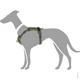 Шлея для собак Hunter Divo L Green/Grey (4016739675934) - зображення 10