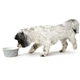 Миска для собак Hunter Bowl Ceramic Eiby Grey 1100 мл (4016739686589) - зображення 4