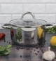 Кастрюля индукционная Ofenbach Casserole из нержавеющей стали 3л со стеклянной крышкой - изображение 7