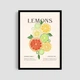 Постер Roomy "Lemon Variety" Без рамки A3 (42x29.7 cm) - зображення 1